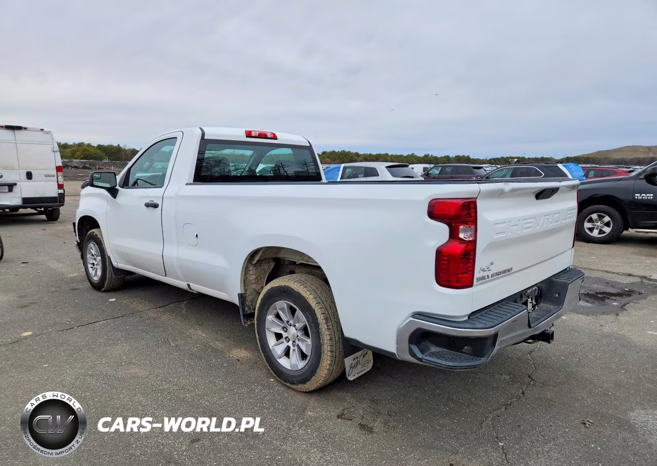 2019 Chevrolet Silverado C1500 VIN:3GCNWAEF8KG261981 - 2