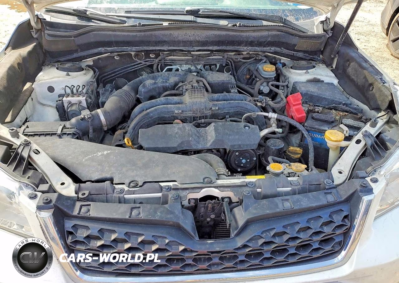 2016 Subaru Forester 2.5I Premium VIN:JF2SJADC8GH529838 - 12