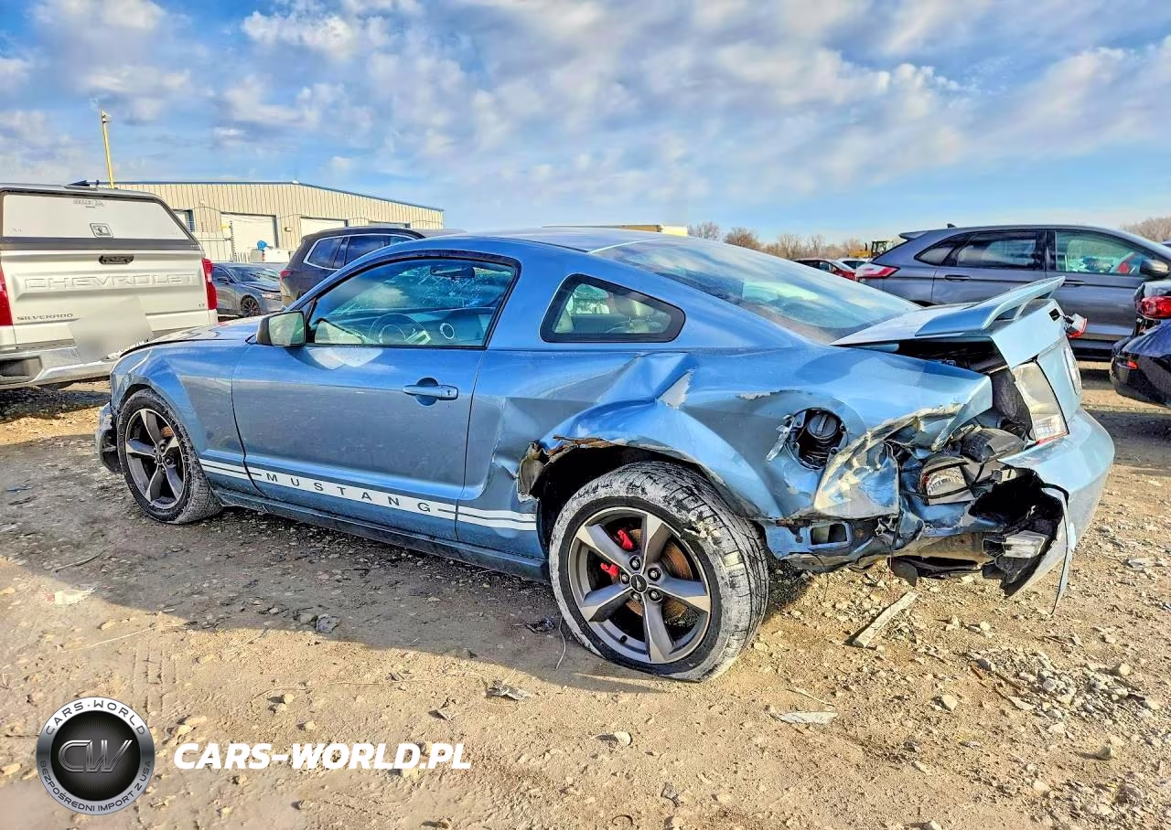 2005 Ford Mustang VIN:1ZVFT80N655251589 - 2