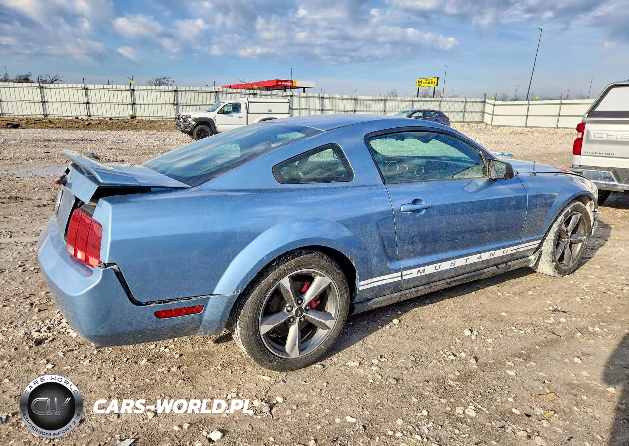 2005 Ford Mustang VIN:1ZVFT80N655251589 - 3