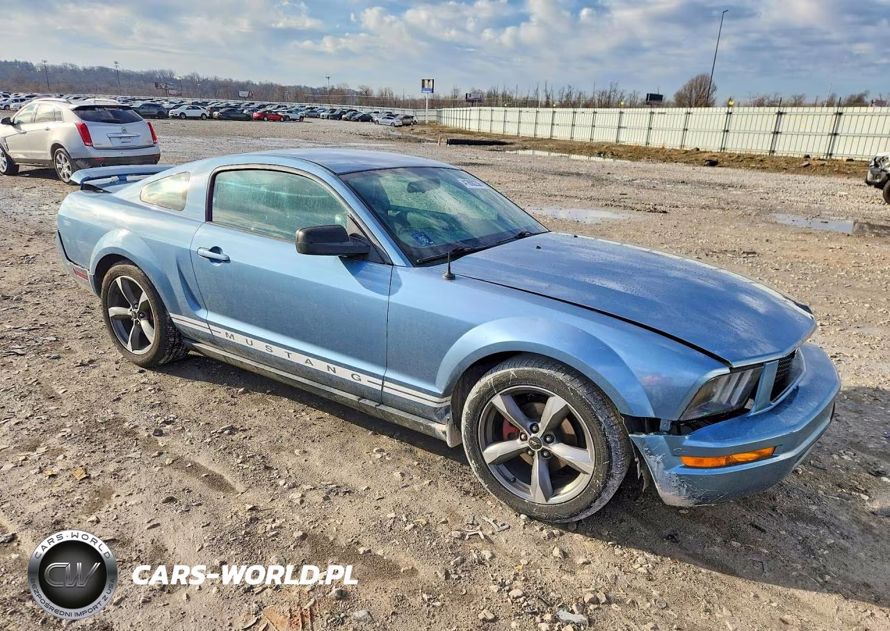 2005 Ford Mustang VIN:1ZVFT80N655251589 - 4