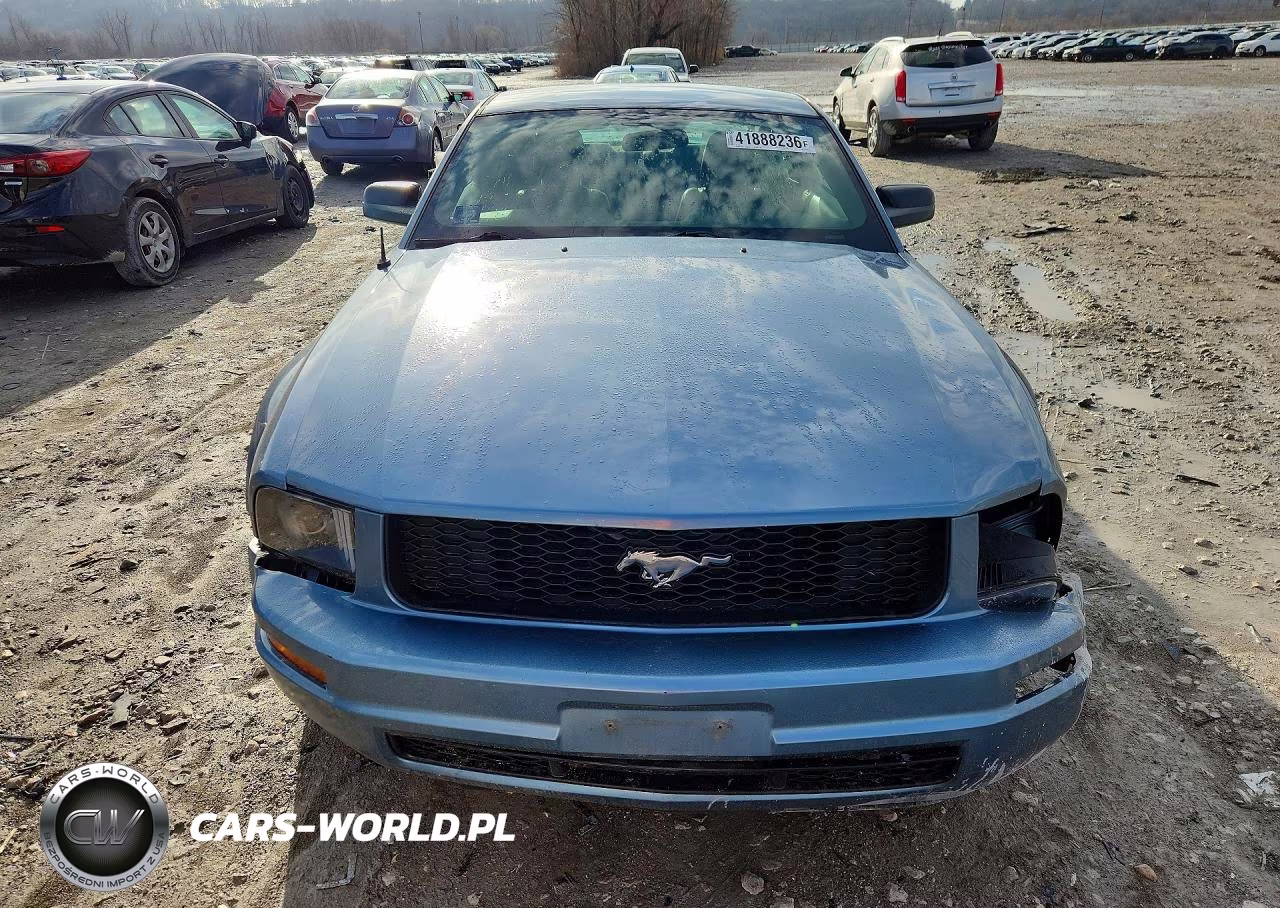 2005 Ford Mustang VIN:1ZVFT80N655251589 - 5