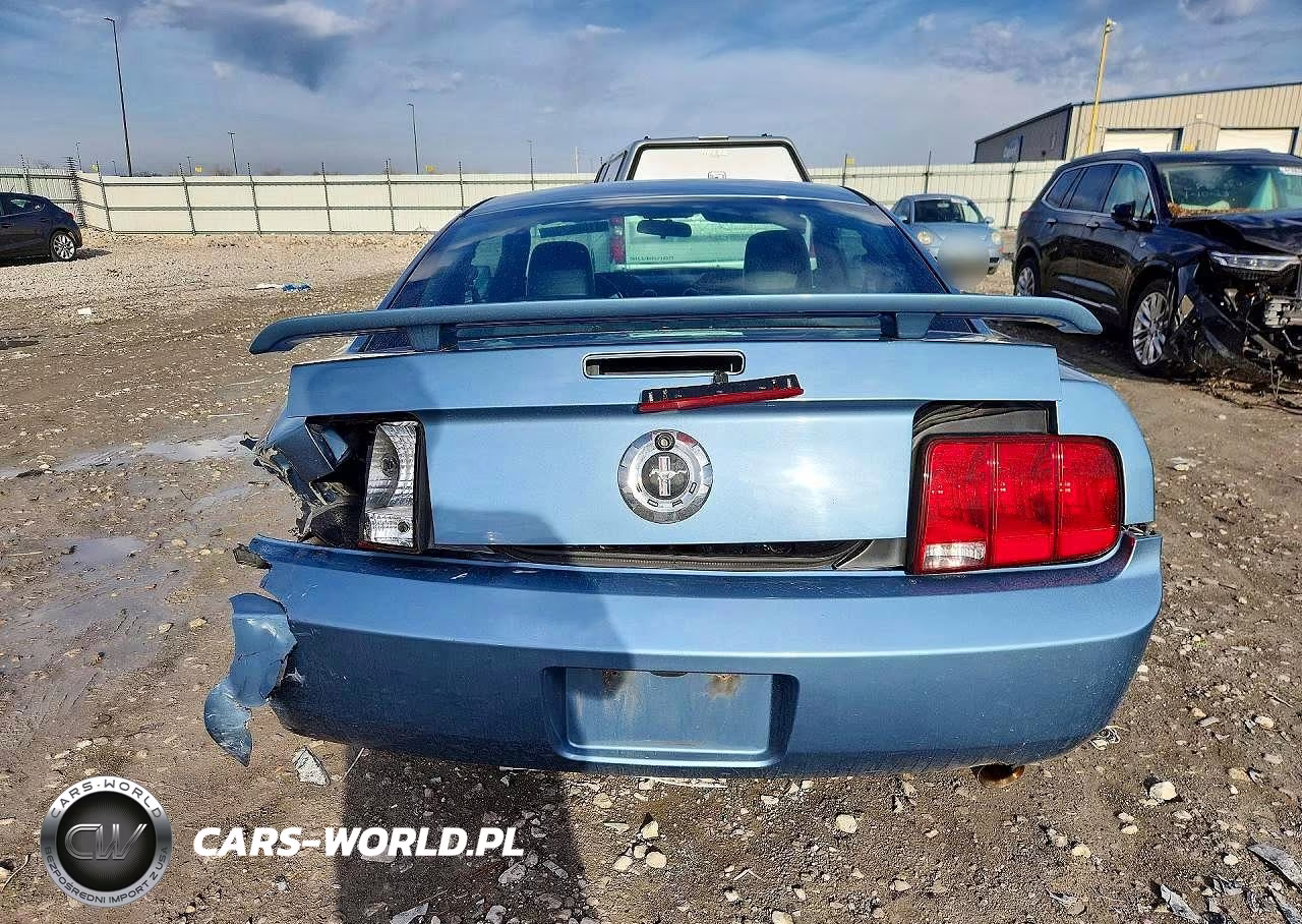 2005 Ford Mustang VIN:1ZVFT80N655251589 - 6
