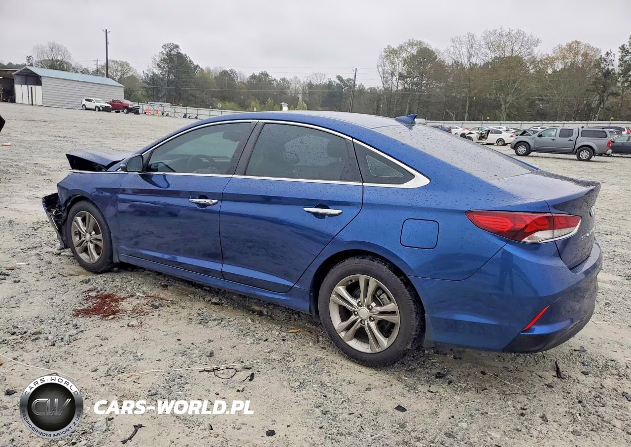 2019 Hyundai Sonata Sel VIN:5NPE34AF3KH794246 - 2