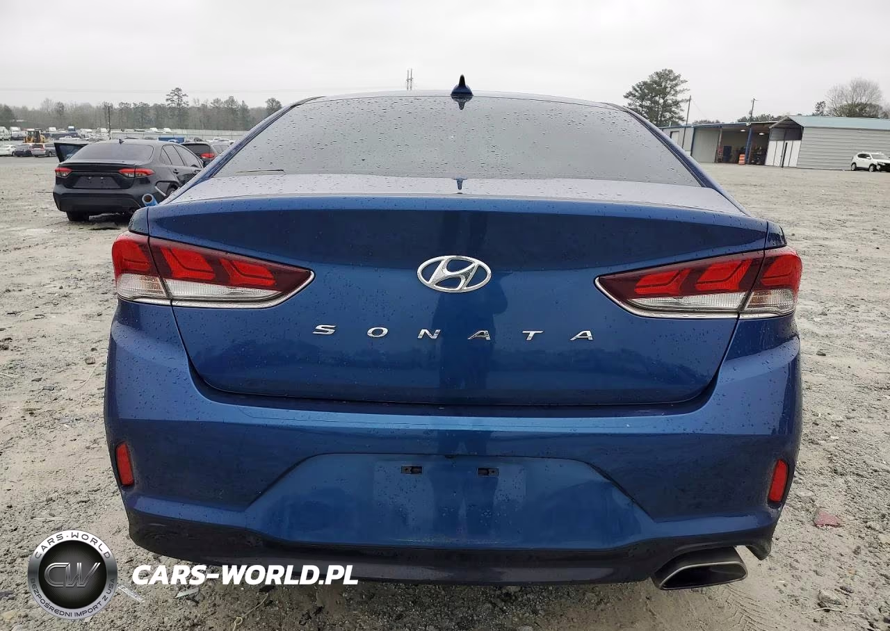 2019 Hyundai Sonata Sel VIN:5NPE34AF3KH794246 - 6