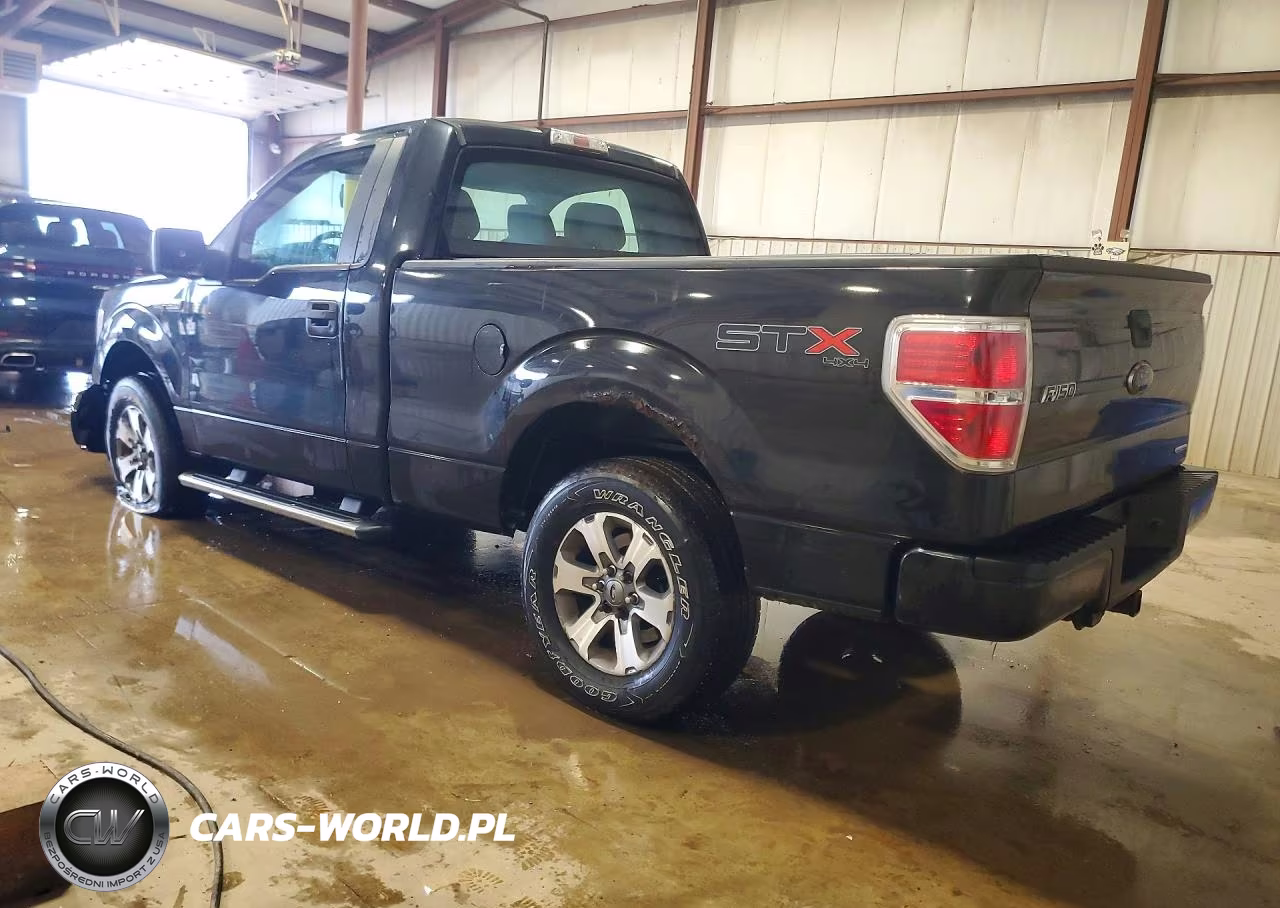 2013 Ford F150 VIN:1FTMF1EF3DKE90592 - 2