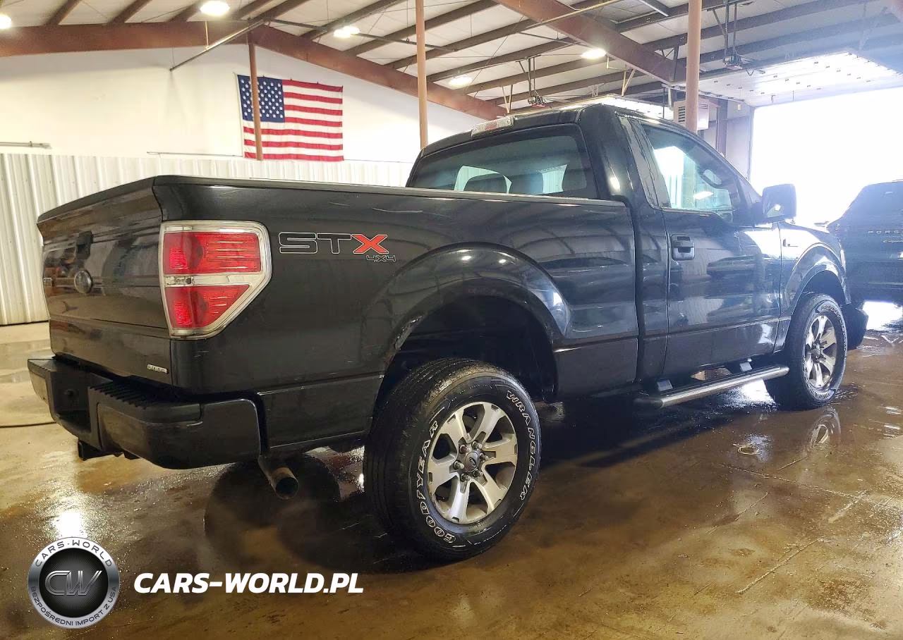 2013 Ford F150 VIN:1FTMF1EF3DKE90592 - 3