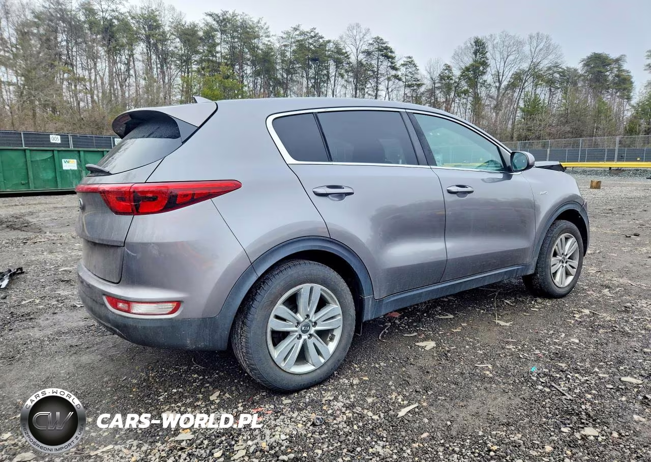 2019 Kia Sportage Lx VIN:KNDPMCAC6K7554148 - 3