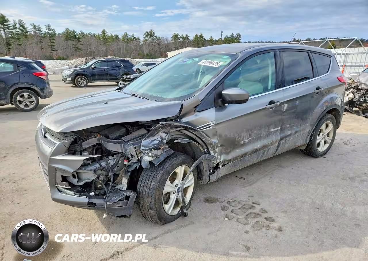 2014 Ford Escape Se