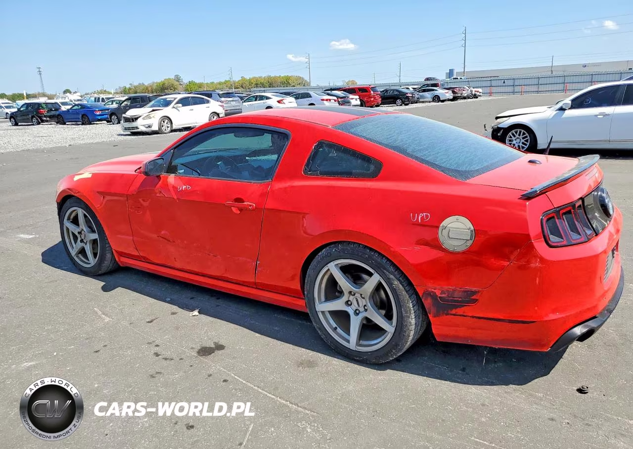 2014 Ford Mustang VIN:1ZVBP8AM0E5244906 - 2