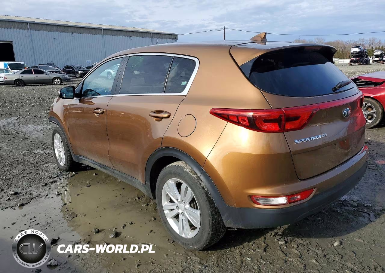 2017 Kia Sportage Lx VIN:KNDPM3AC7H7112195 - 2