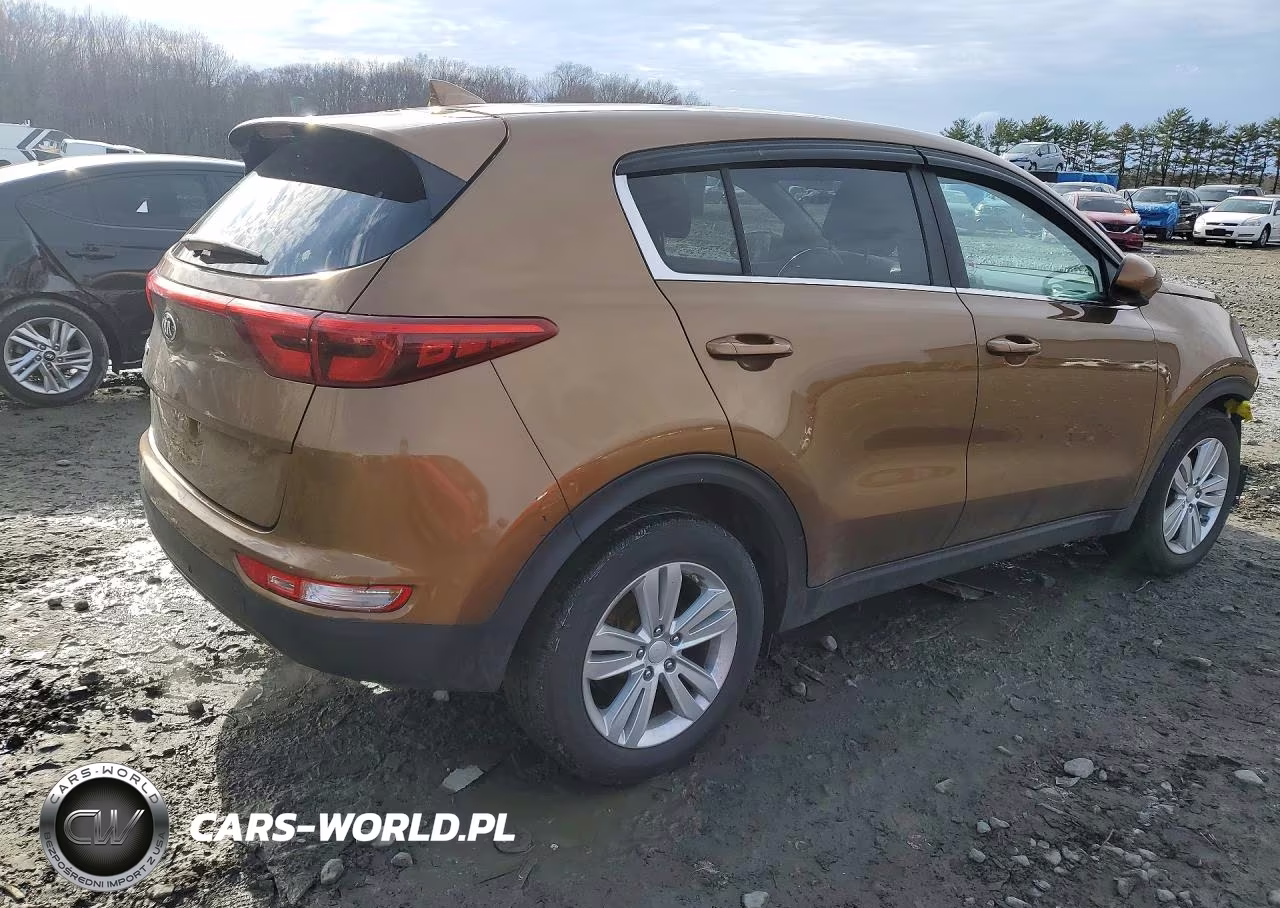 2017 Kia Sportage Lx VIN:KNDPM3AC7H7112195 - 3