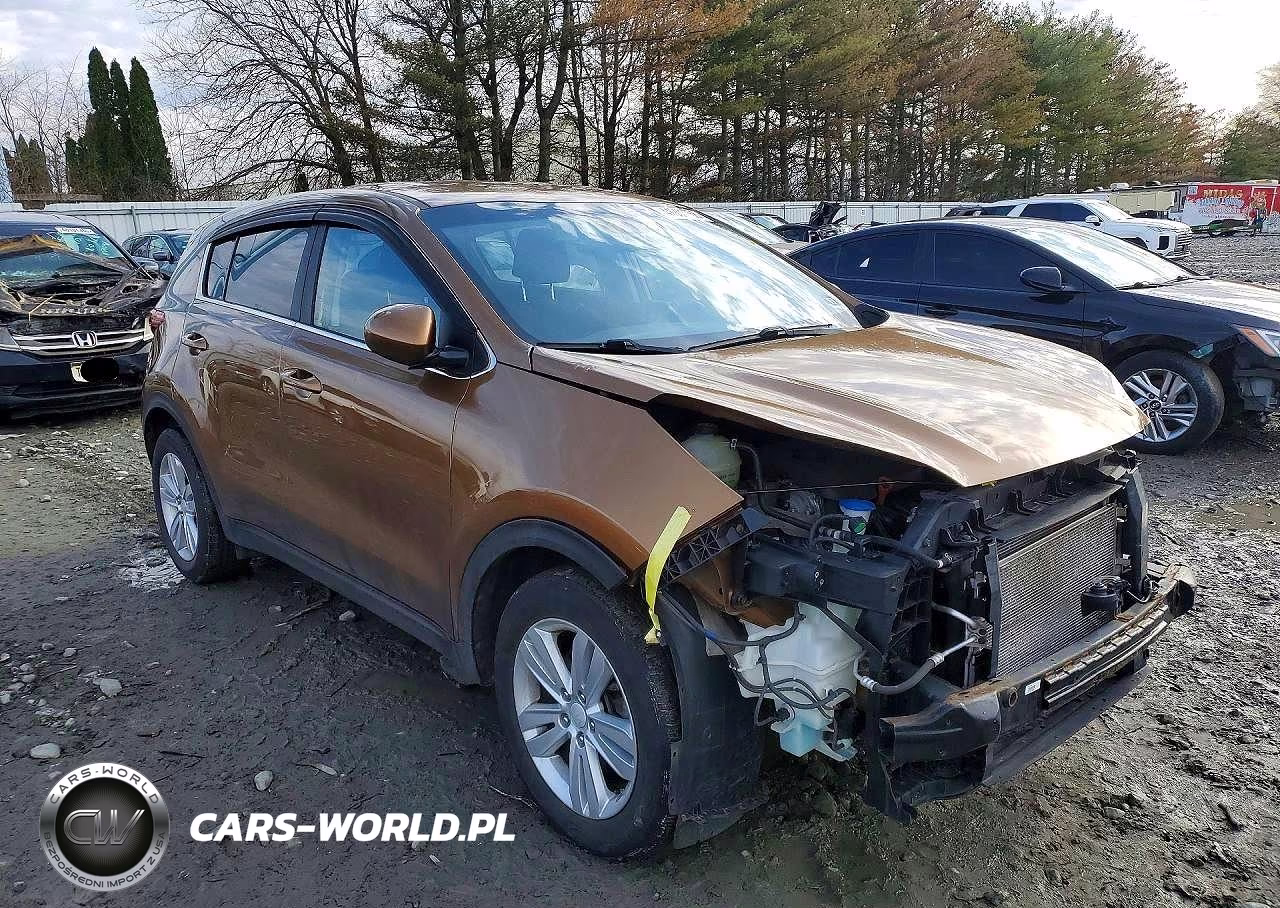 2017 Kia Sportage Lx VIN:KNDPM3AC7H7112195 - 4