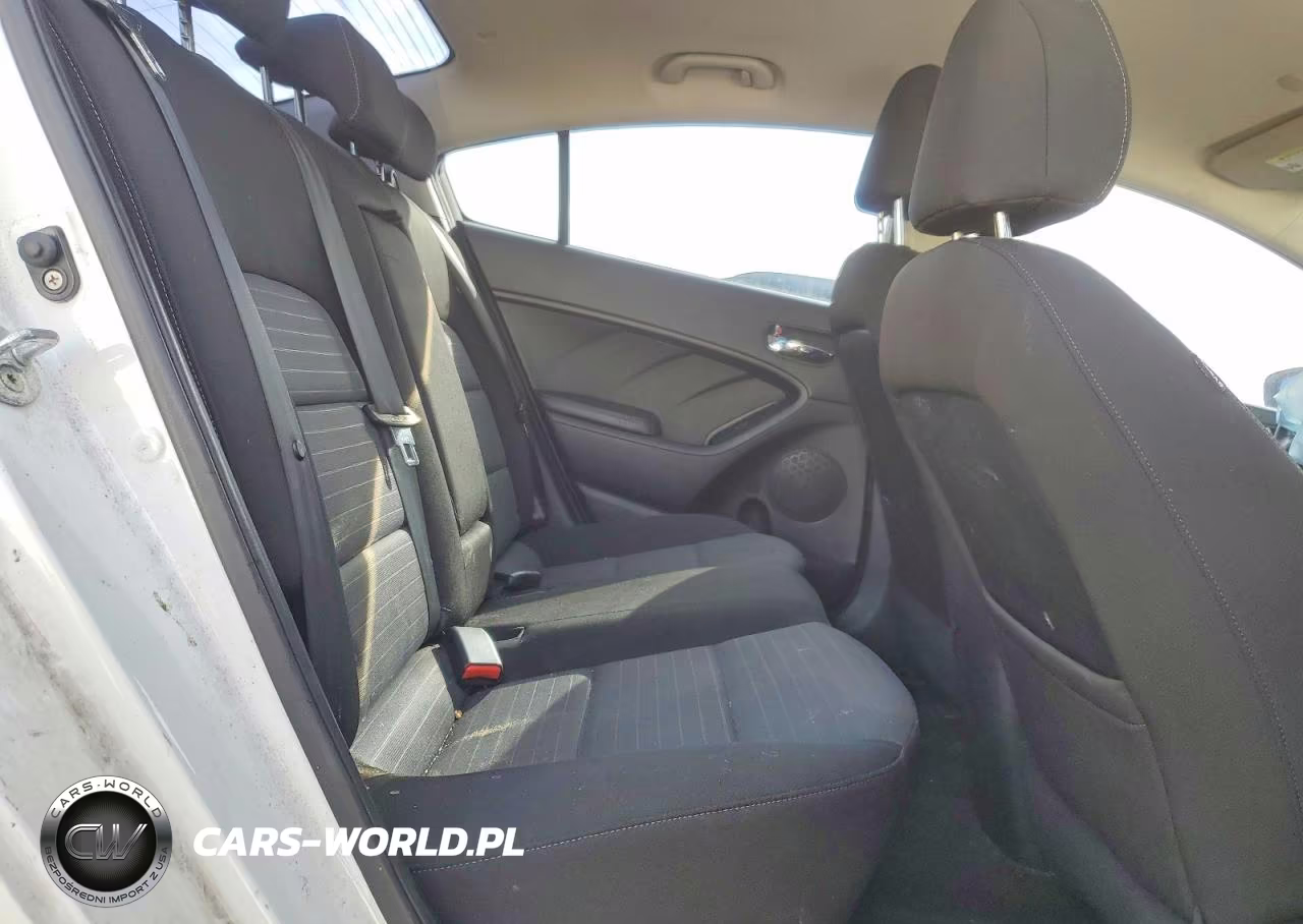 2015 Kia Forte Ex VIN:KNAFX4A80F5266290 - 10