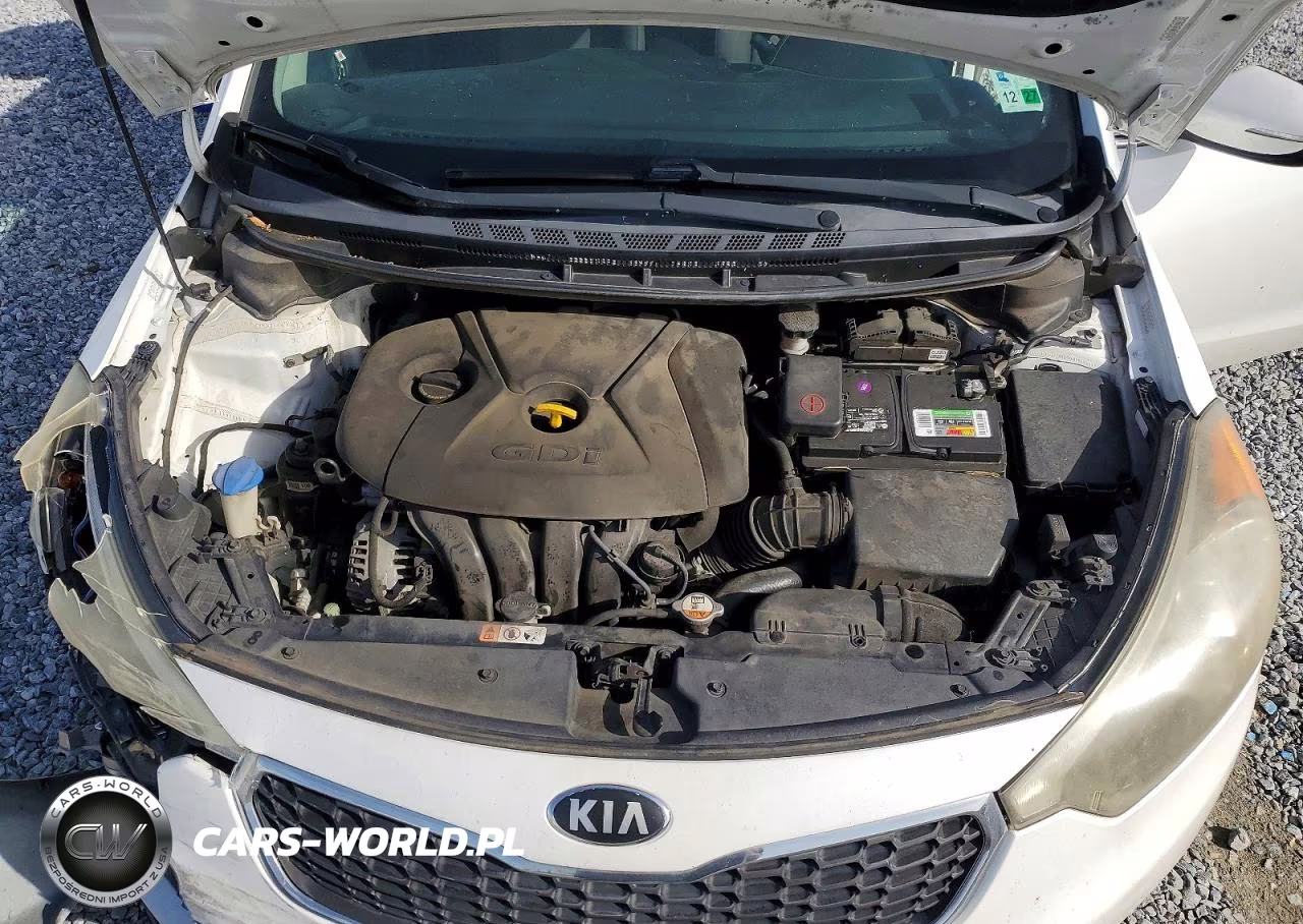 2015 Kia Forte Ex VIN:KNAFX4A80F5266290 - 11