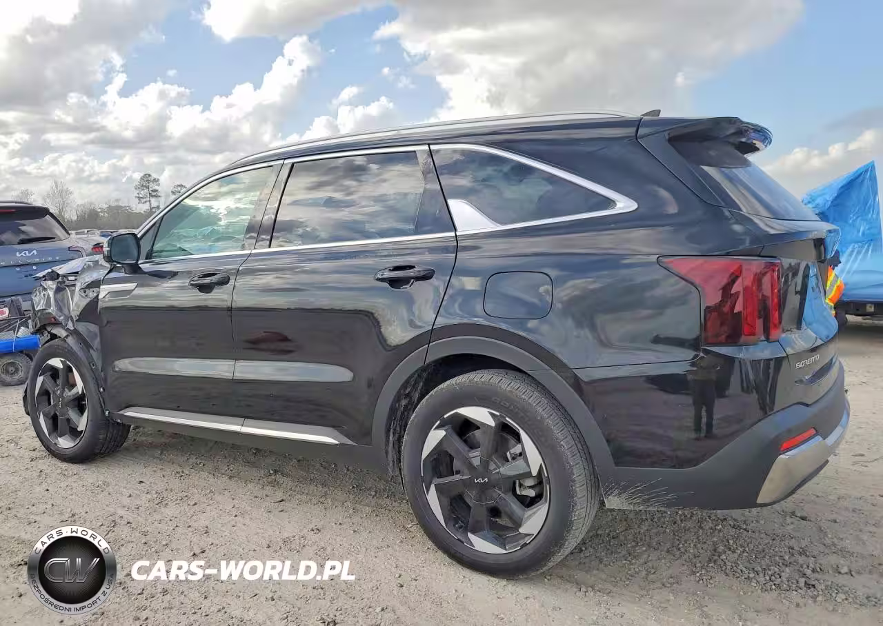 2025 Kia Sorento Ex VIN:KNDRH4JG3S5300981 - 2