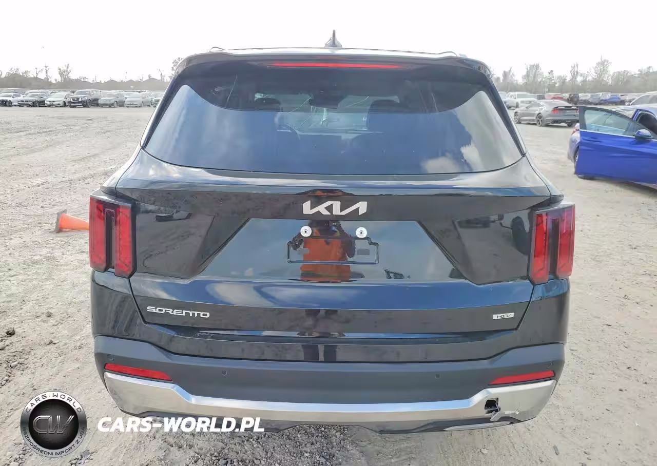 2025 Kia Sorento Ex VIN:KNDRH4JG3S5300981 - 6