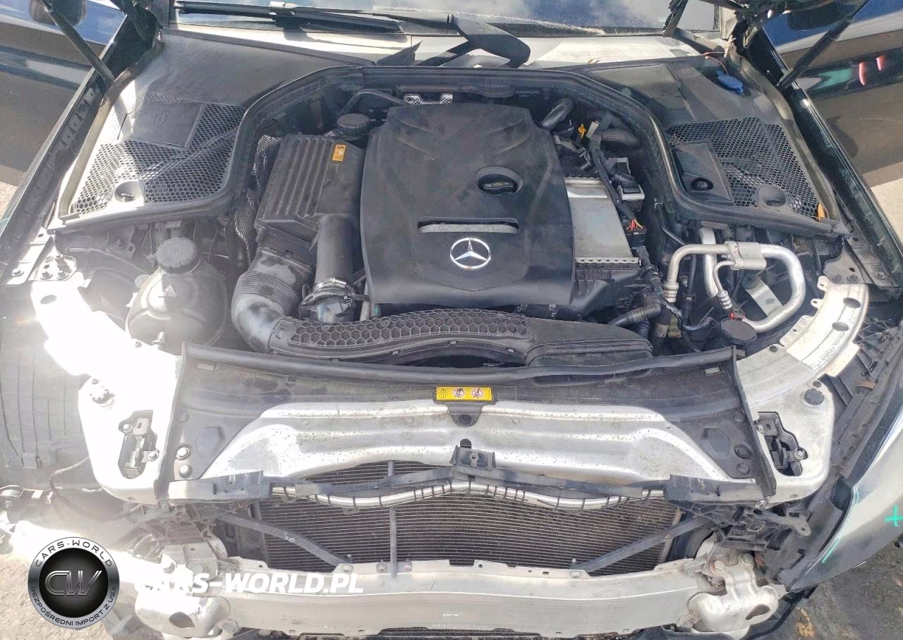 2017 Mercedes-Benz C 300 VIN:55SWF4JB9HU197455 - 11