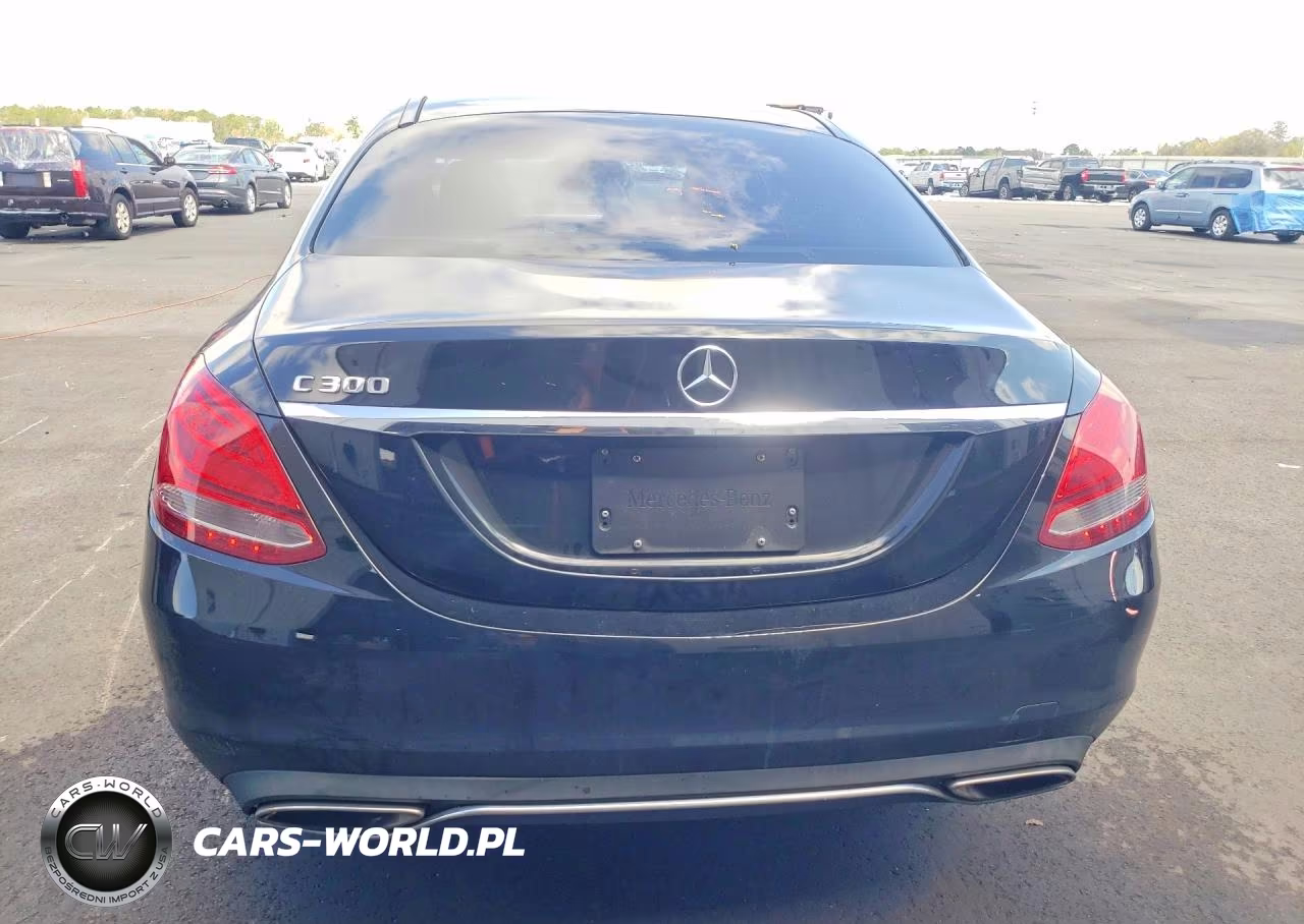 2017 Mercedes-Benz C 300 VIN:55SWF4JB9HU197455 - 6