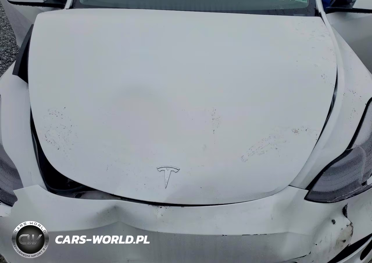 2023 Tesla Model Y VIN:7SAYGDEF5PF665512 - 11