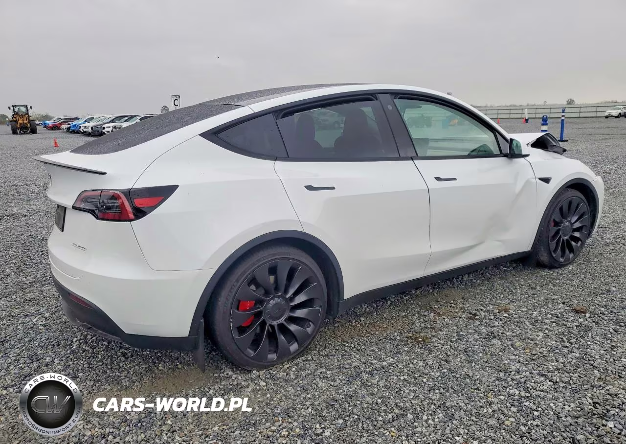 2023 Tesla Model Y VIN:7SAYGDEF5PF665512 - 3