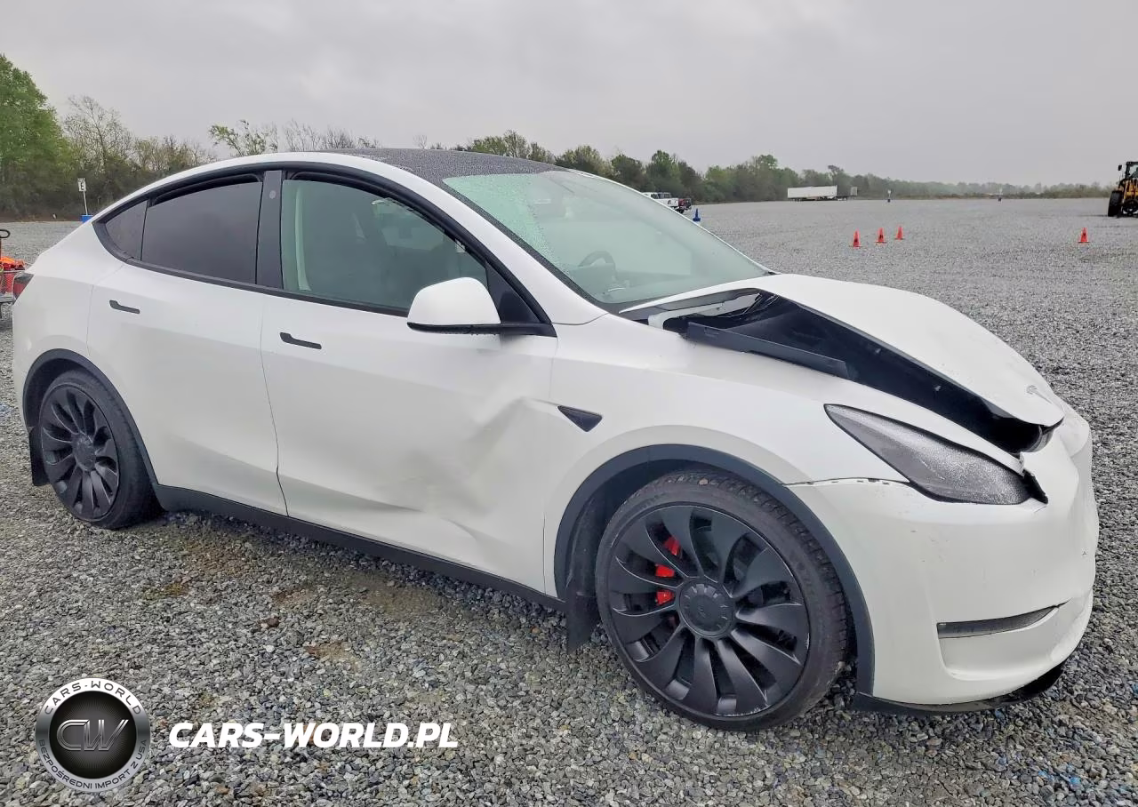 2023 Tesla Model Y VIN:7SAYGDEF5PF665512 - 4