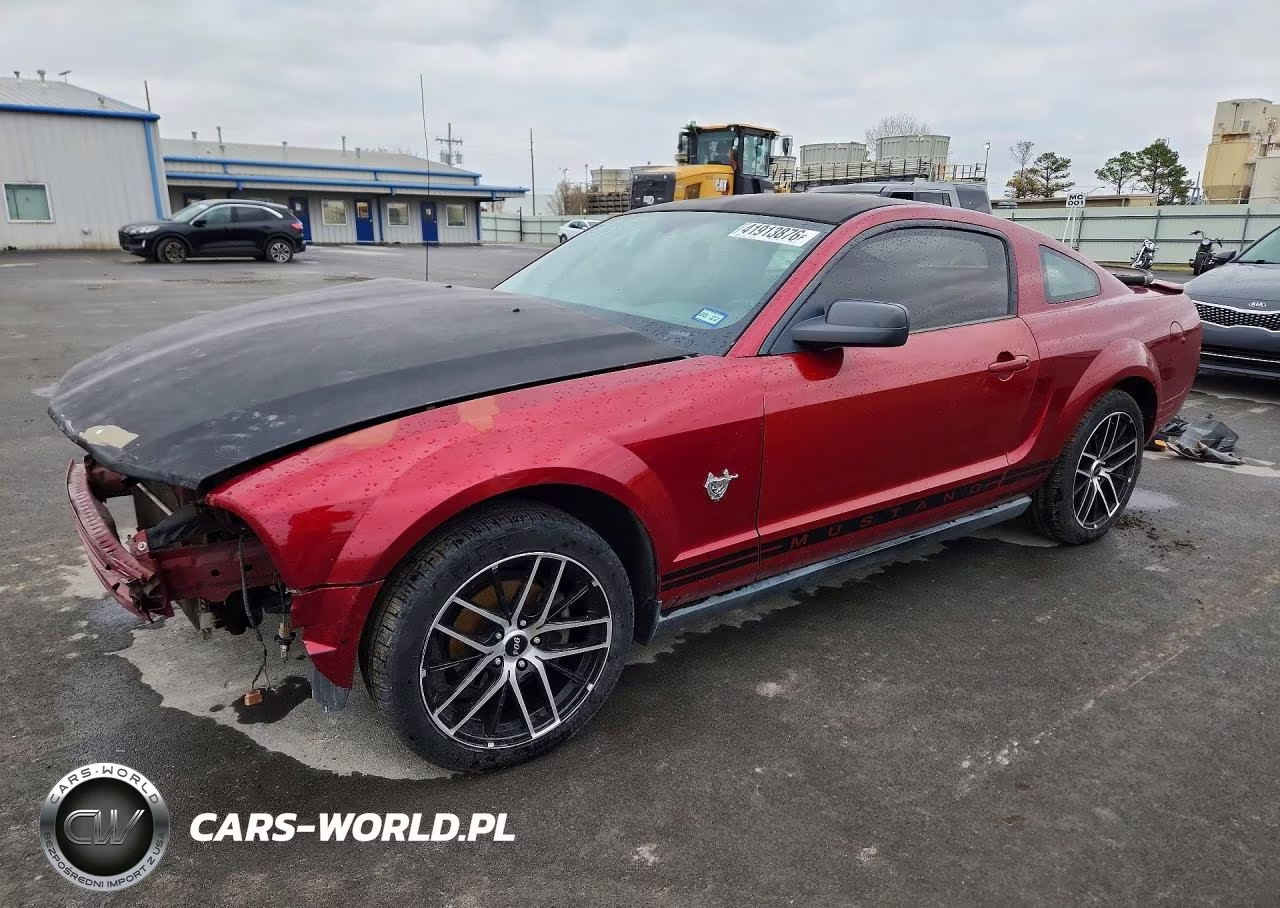 2009 Ford Mustang 50Th Anniversary VIN:1ZVHT80N395144112 - 1