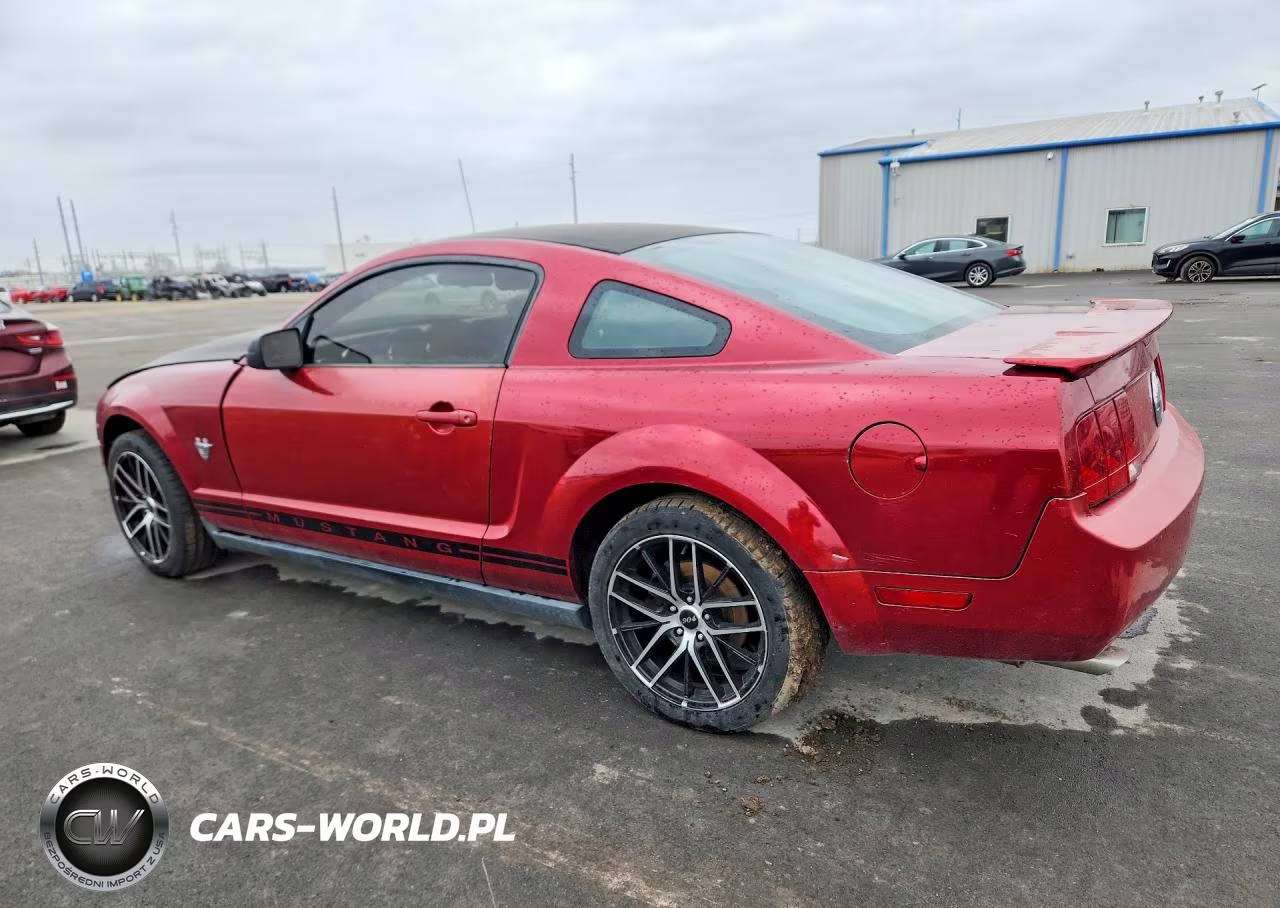 2009 Ford Mustang 50Th Anniversary VIN:1ZVHT80N395144112 - 2