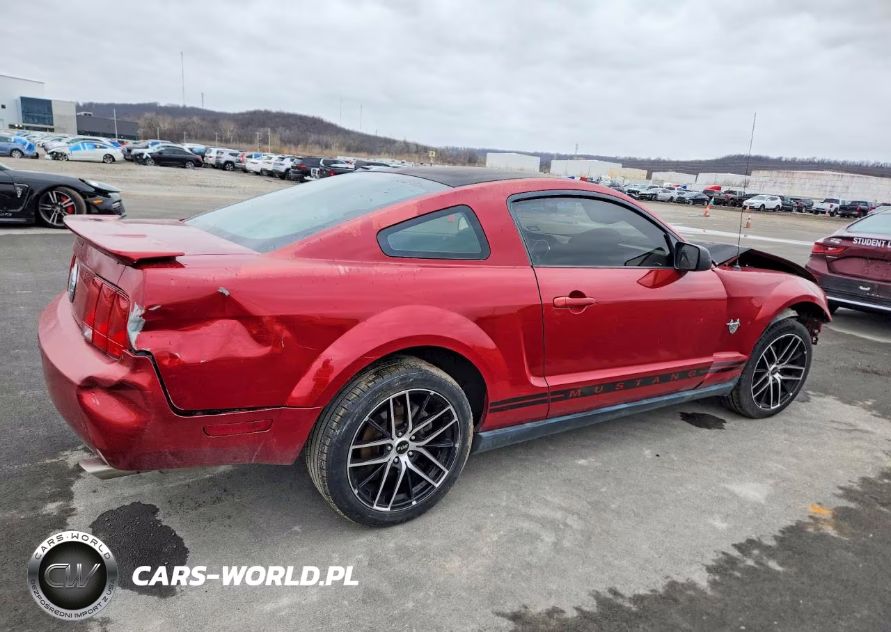 2009 Ford Mustang 50Th Anniversary VIN:1ZVHT80N395144112 - 3