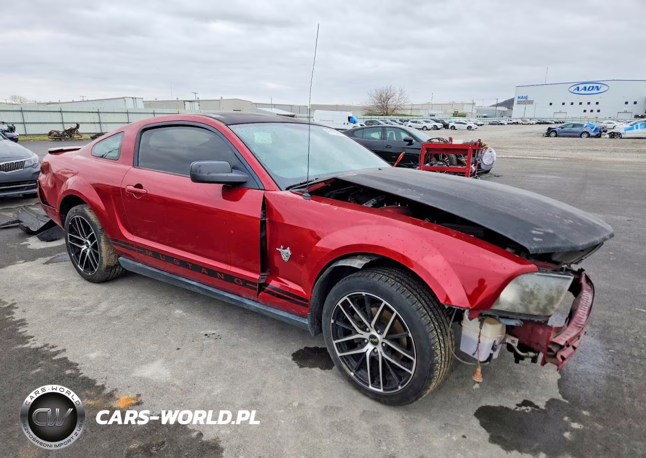 2009 Ford Mustang 50Th Anniversary VIN:1ZVHT80N395144112 - 4
