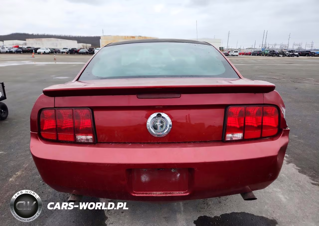 2009 Ford Mustang 50Th Anniversary VIN:1ZVHT80N395144112 - 6