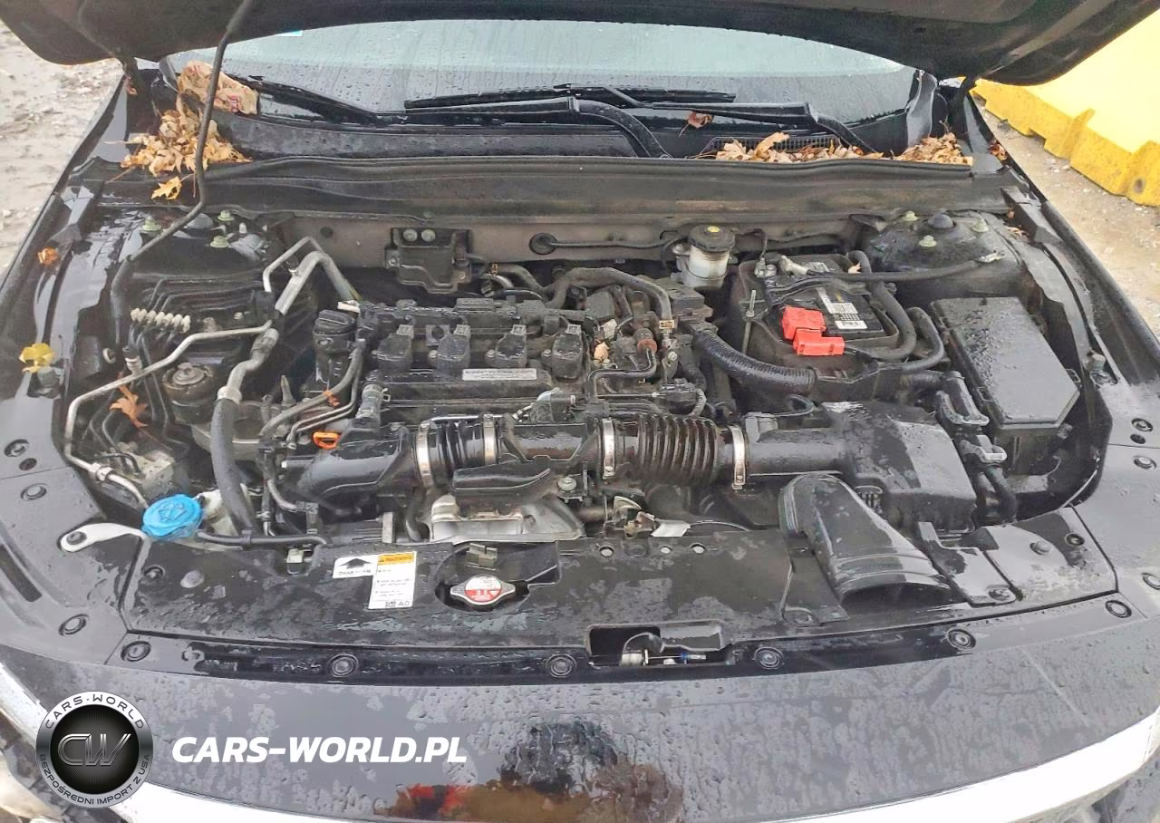 2019 Honda Accord Lx VIN:1HGCV1F19KA094818 - 11