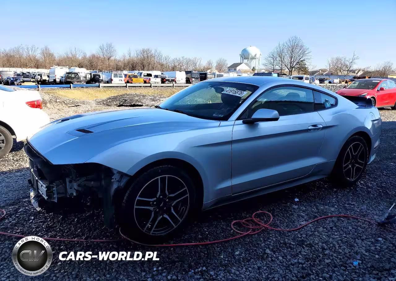 2019 Ford Mustang
