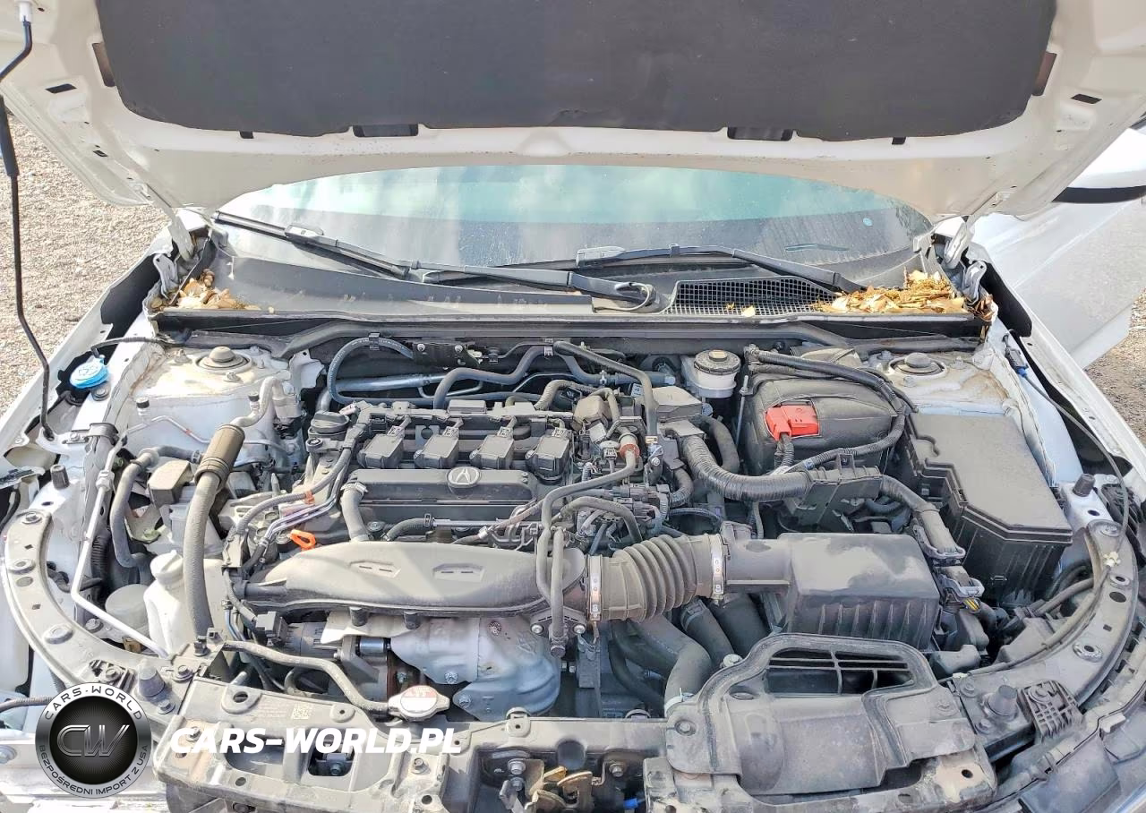 2023 Acura Integra A-Spec VIN:19UDE4H3XPA021436 - 11