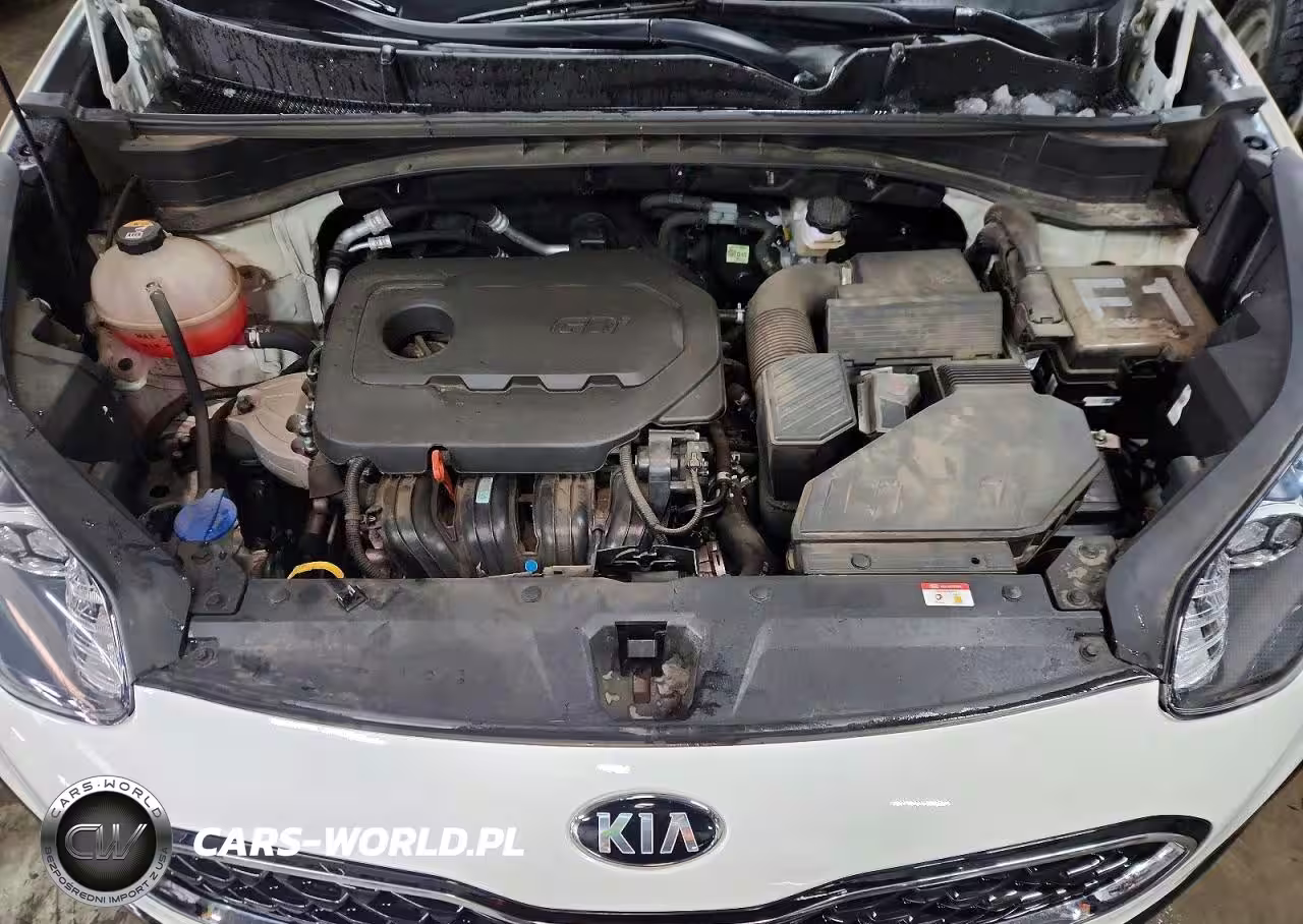 2022 Kia Sportage Lx VIN:KNDPMCAC8N7995963 - 12