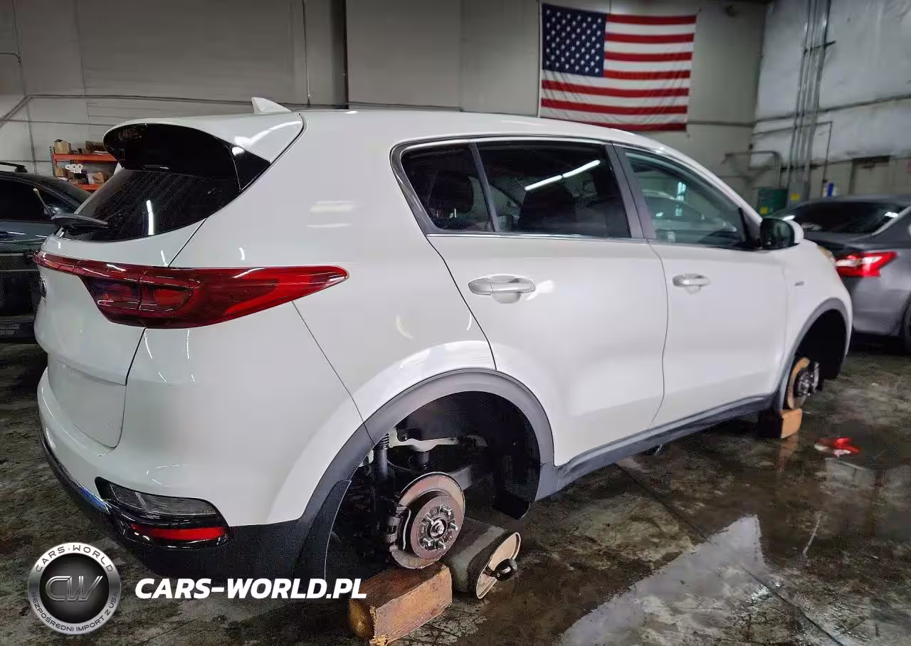 2022 Kia Sportage Lx VIN:KNDPMCAC8N7995963 - 3