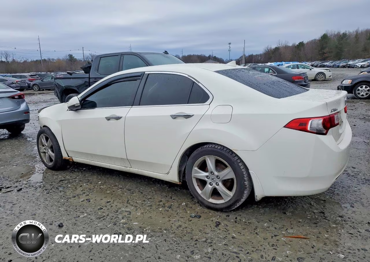 2010 Acura Tsx VIN:JH4CU2F6XAC005794 - 2