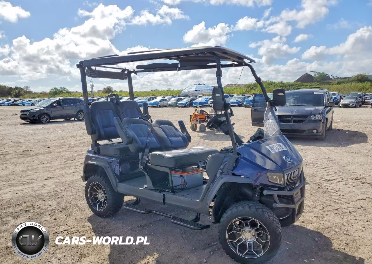 2025 Evolution Golf Cart – zdjęcie 1 z 10
