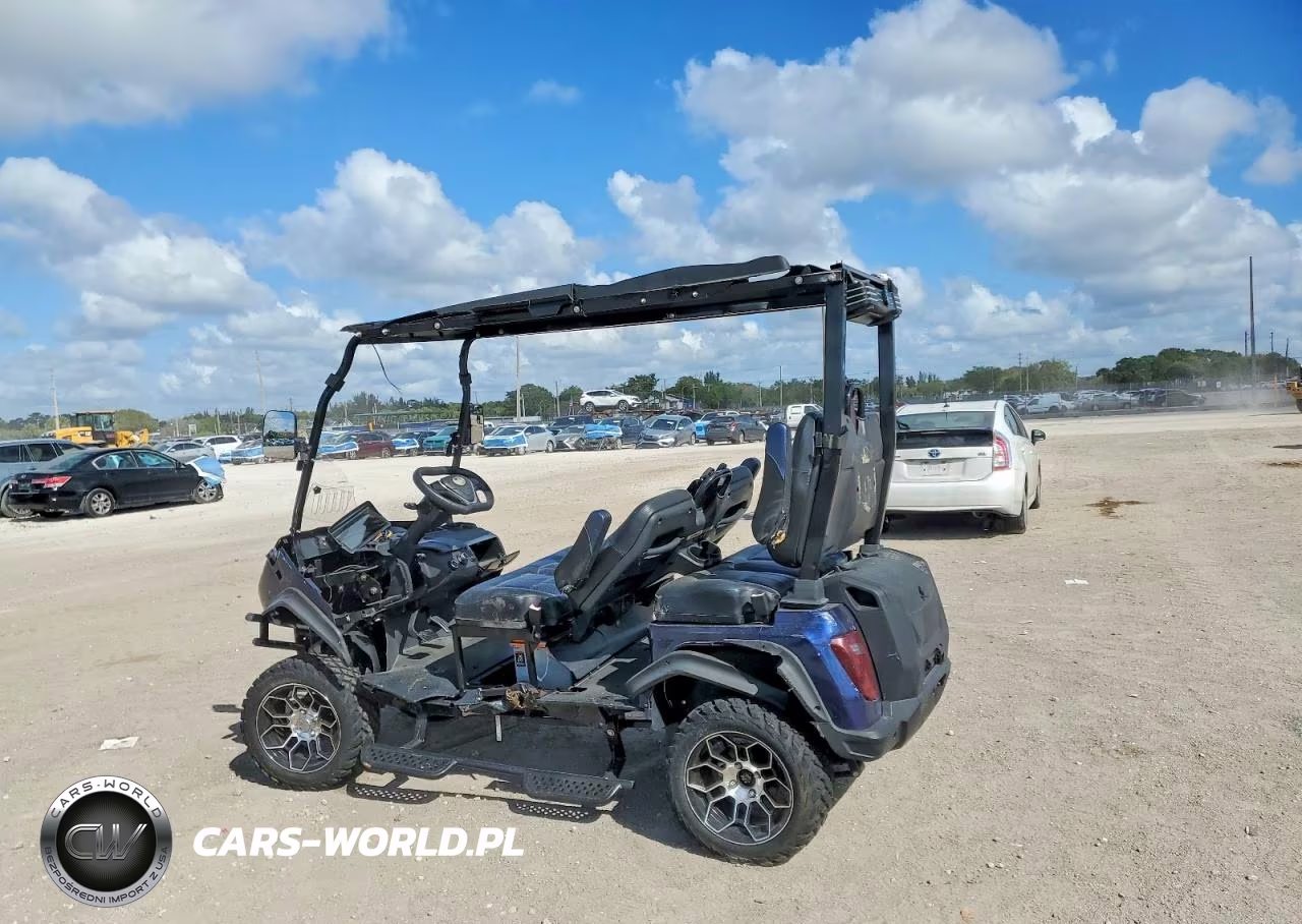 2025 Evolution Golf Cart VIN:1U9UGD1D6SC198927 - 3