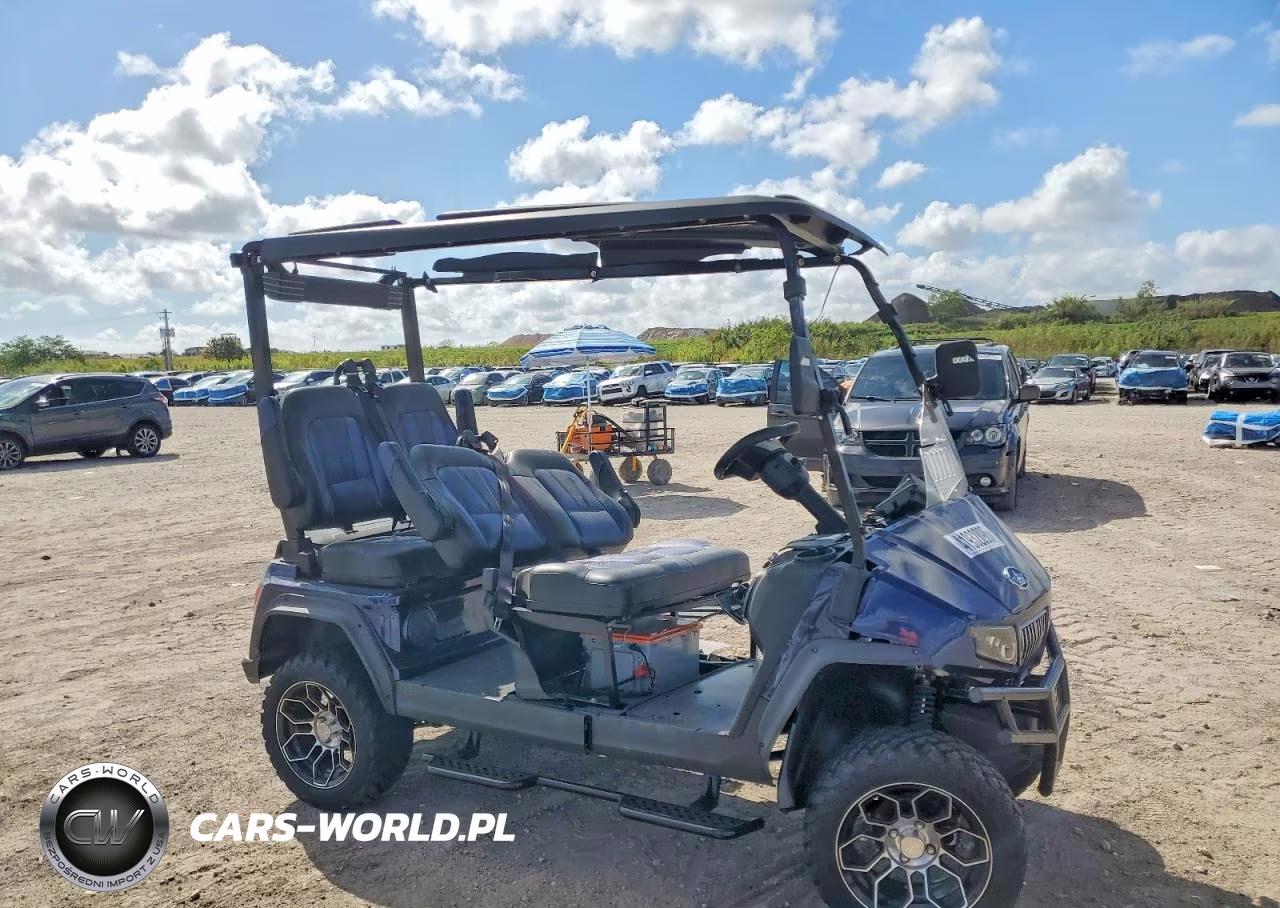 2025 Evolution Golf Cart VIN:1U9UGD1D6SC198927 - 6