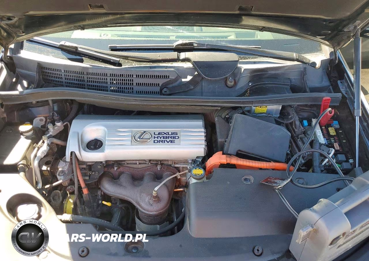 2010 Lexus Hs 250H Premium VIN:JTHBB1BA3A2001680 - 11