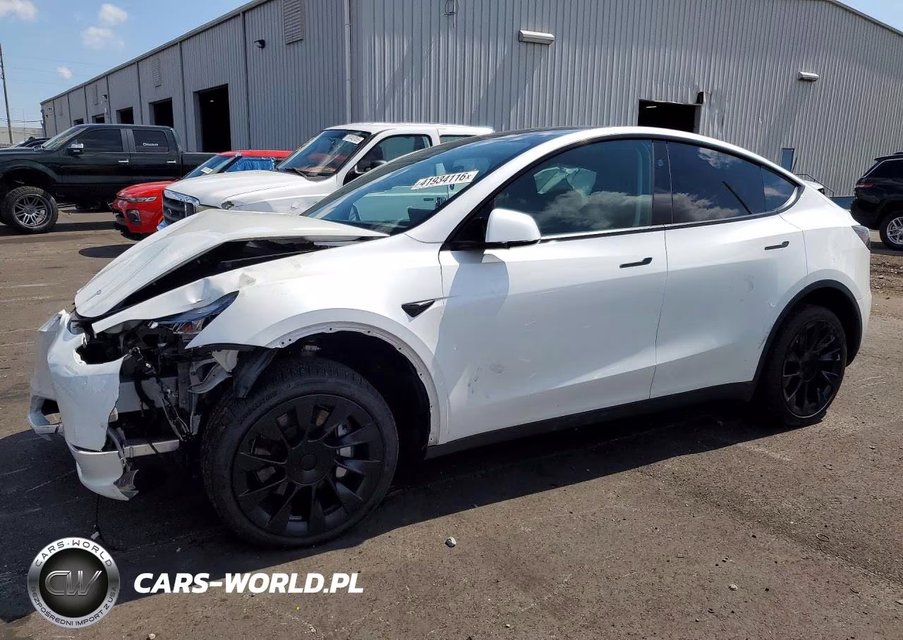 2024 Tesla Model Y
