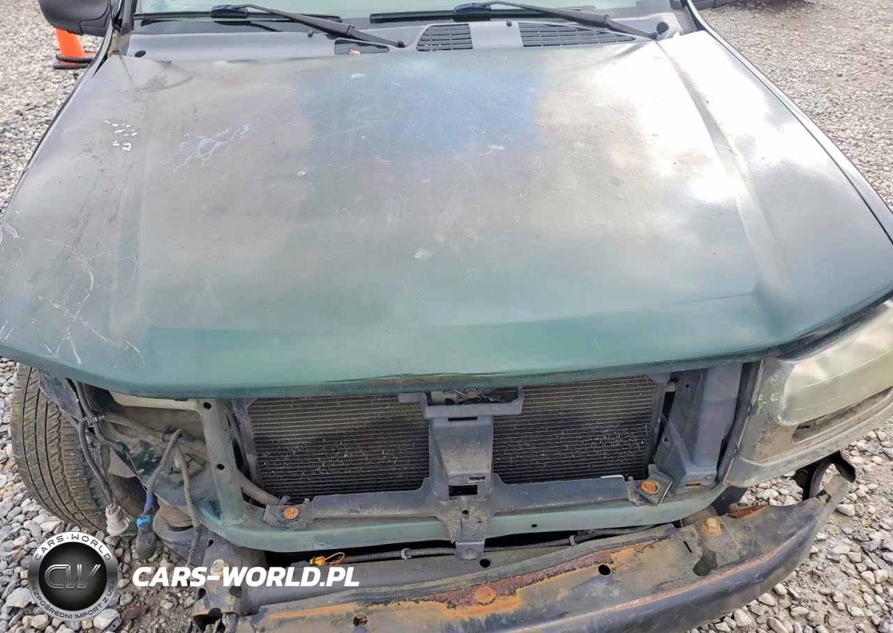 2003 Chev Trailblazer VIN:1GNDS13S532306738 - 12