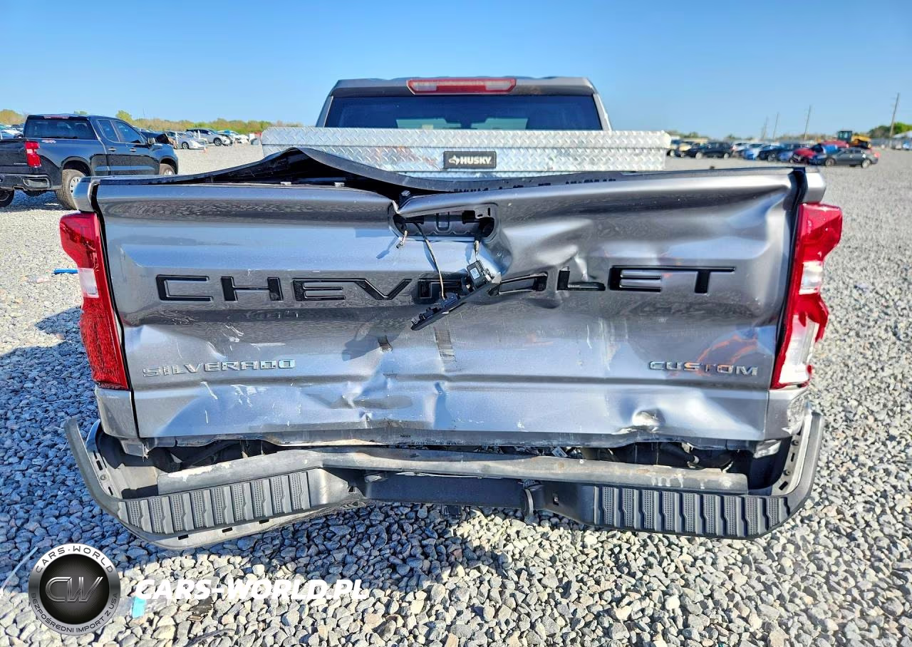 2020 Chevrolet Silverado C1500 Custom VIN:1GCRWBEK9LZ309025 - 6