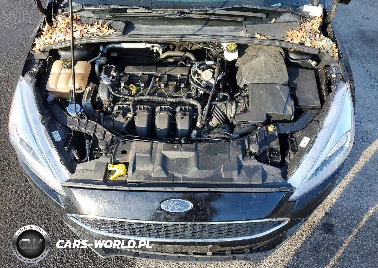 2018 Ford Focus Se VIN:1FADP3K2XJL283946 - 11