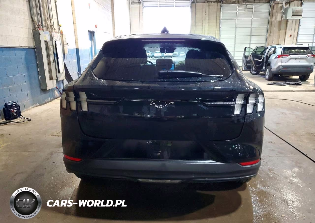 2025 Ford Mustang Mach-E Premium VIN:3FMTK3SU8SMA43358 - 6