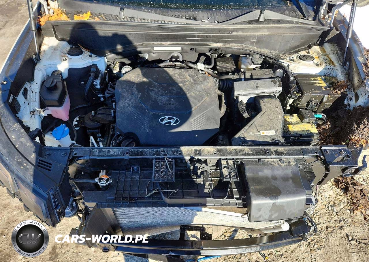 2023 Hyundai Palisade Sel VIN:KM8R2DGE4PU643489 - 12