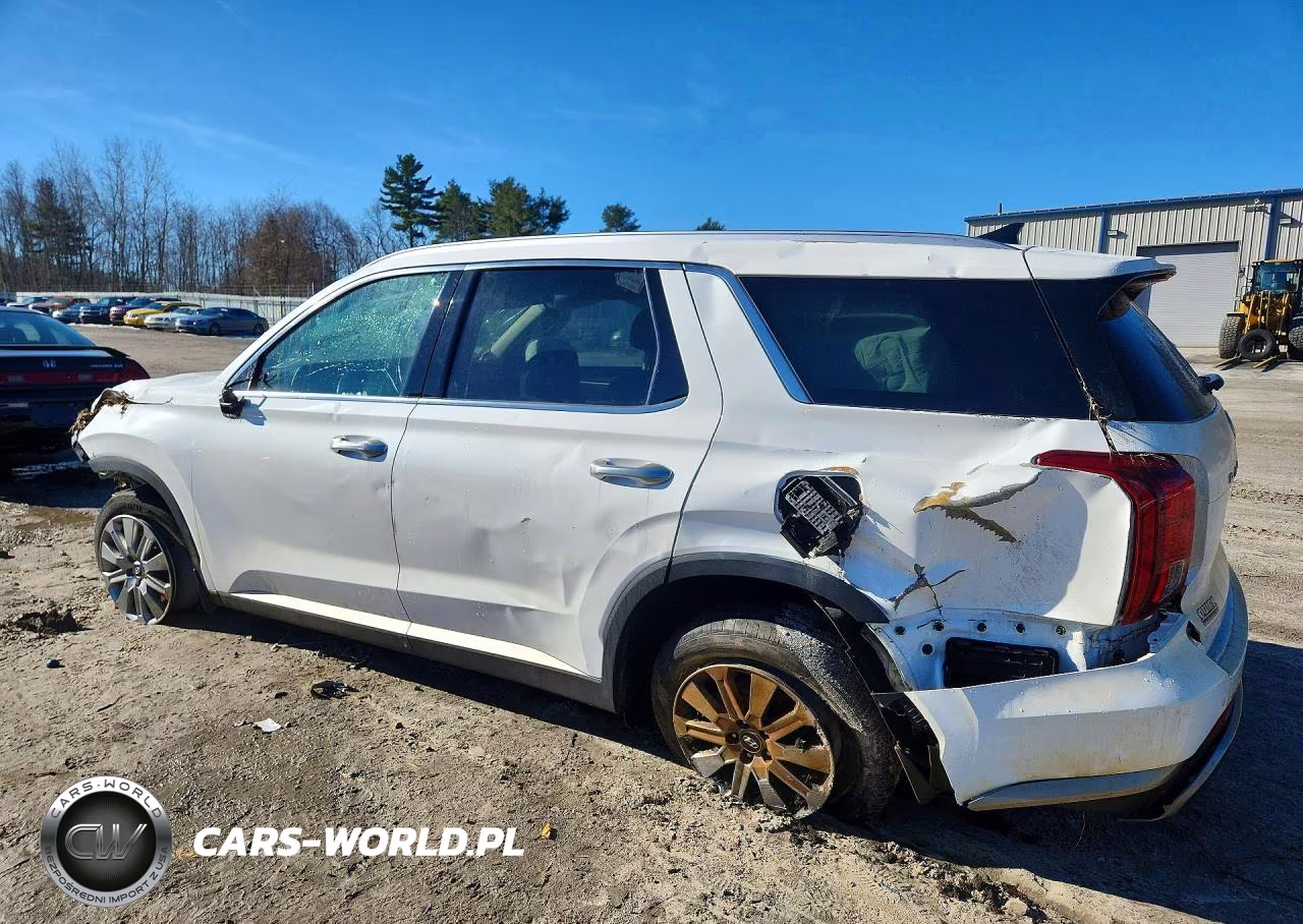 2023 Hyundai Palisade Sel VIN:KM8R2DGE4PU643489 - 2