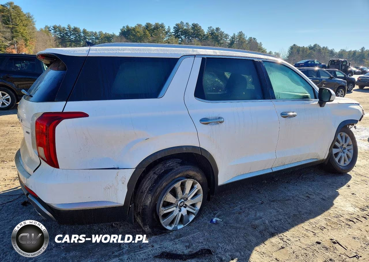 2023 Hyundai Palisade Sel VIN:KM8R2DGE4PU643489 - 3