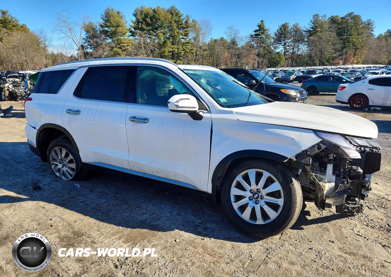 2023 Hyundai Palisade Sel VIN:KM8R2DGE4PU643489 - 4